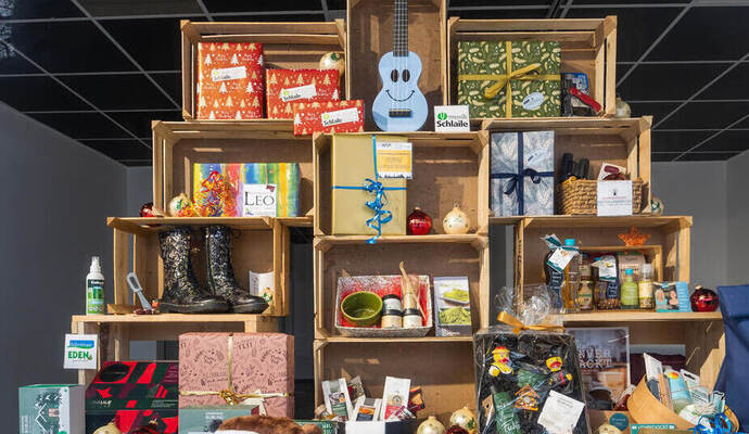 Pop-Up Pfoxx Andrea Sesulka