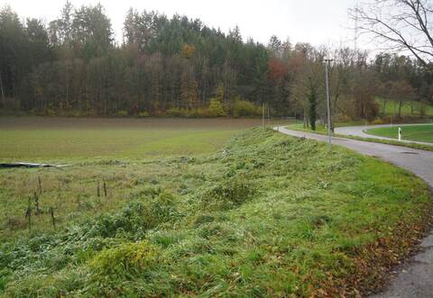 Das Hochwasserrückhaltebecken „Neulinger Grund“ liegt an der Landesstraße von Steiner Ortsausgang Richtung Bauschlott. Wenn es saniert wird, muss diese zeitweise halbseitig gesperrt werden, vielleicht auch komplett.