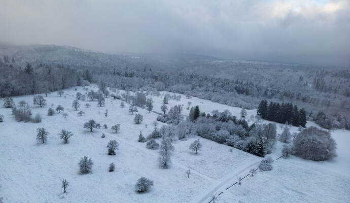 Winter Schmuckis Hohenwart