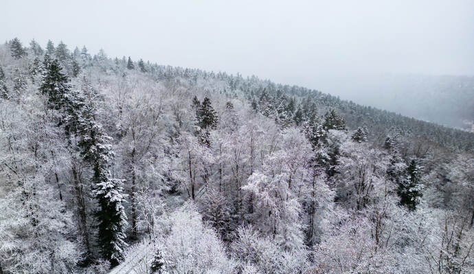 Winter Schmuckis Huchenfeld