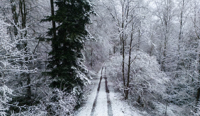 Winter Schmuckis Huchenfeld