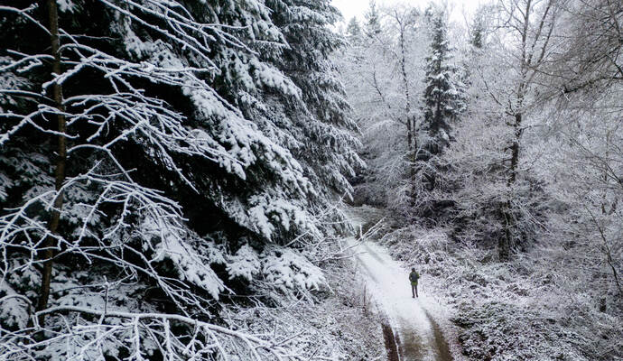 Winter Schmuckis Huchenfeld