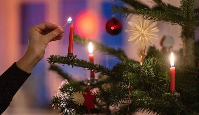 Weihnachtsbaum