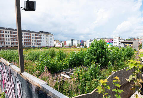 Paloma-Viertel auf St. Pauli - Bauanträge noch nicht eingereicht