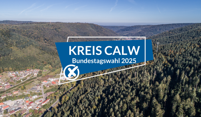 So hat der Kreis Calw bei der Bundestagswahl 2025 abgestimmt. So hat der Kreis Calw bei der Bundestagswahl 2025 abgestimmt.