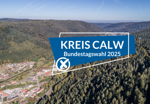 So hat der Kreis Calw bei der Bundestagswahl 2025 abgestimmt.