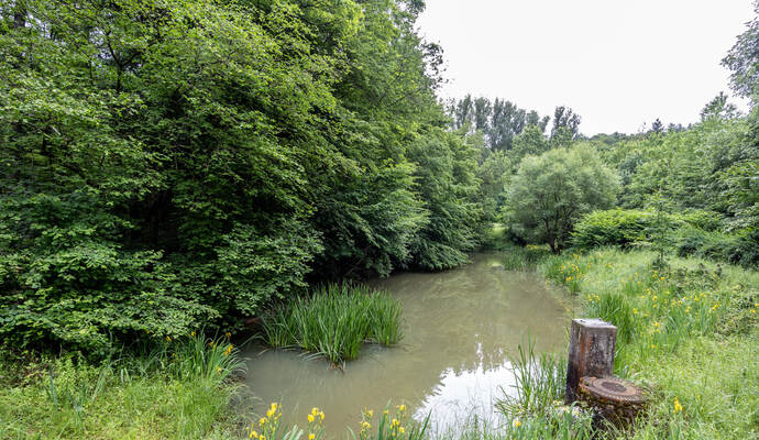 Der Fundort des Toten ist ein ehemaliger Angelteich im Ranntal zwischen Großer Eiche und der Regelbaumstraße. Um zu klären, warum der Mann aus Baden-Baden sterben musste und wie er dorthin gelangt ist, drehen die Ermittler jeden Stein um. möglicher Fundort Leiche Ranntal