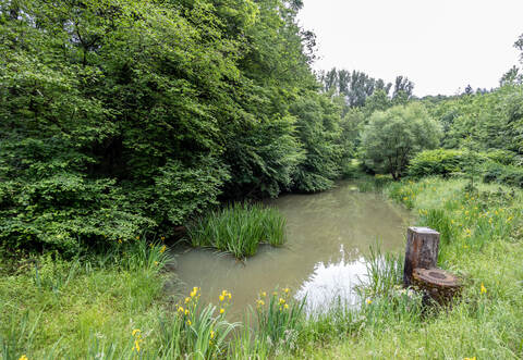 möglicher Fundort Leiche Ranntal