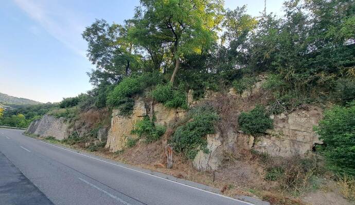 Entlang der Kreisstraße 4505 drohen Steine aus den stark bewachsenen Mauern abzubrechen, mahnen Anwohner. Entlang der Kreisstraße 4505 drohen Steine aus den starkbewachsenen Mauern abzubrechen, mahnen Anwohner.