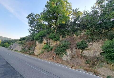 Entlang der Kreisstraße 4505 drohen Steine aus den starkbewachsenen Mauern abzubrechen, mahnen Anwohner.