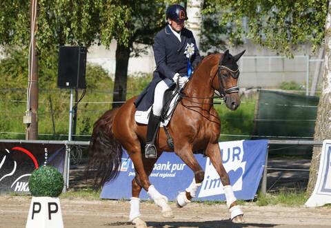 Erfahrener Profi: Pieter van der Raadt von der PSG Martinushof Zeutern holt sich unter den 16 Teilnehmern den Sieg in der Dressurprüfung der schweren Klasse S** mit der Aufgabe „Intermediaire I“.