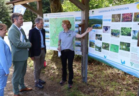 Projektleiterin Karin Mußhoff (rechts) erläutert Forstpräsident Strittmatter, Rastatts Landrat Dusch und Melanie Mußler, Leiterin der Touristinfo Gernsbach,die neuen Infotafeln.