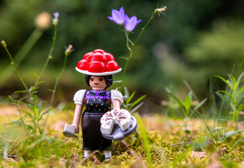 Schwarzwald Marie Verlosung