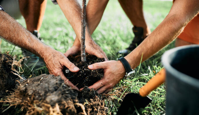 Viele Hände für den guten Zweck: Mit der Baumpflanz-Challenge wollen Feuerwehren ein Zeichen für den Klimaschutz setzen. Close-up of father and son planting tree in nature.