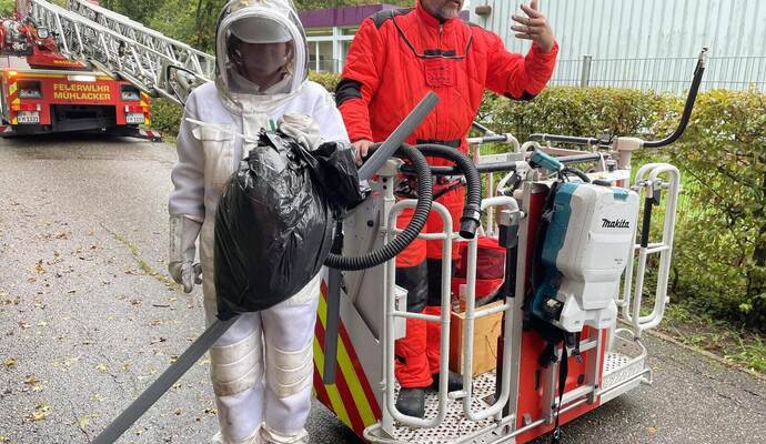 Schädlingsbekämpfer Frank Beutelspacher hat mit Studentin Berenike Breuer das Nest der Asiatischen Hornissen im Mühlacker Heidenwäldle vom Baum in einen Sack gepackt. Die Hornissen sind vorher in einen Behälter (rechts) gesaugt worden.
