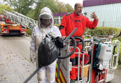Schädlingsbekämpfer Frank Beutelspacher hat mit Studentin Berenike Breuer das Nest der Asiatischen Hornissen im Mühlacker Heidenwäldle vom Baum in einen Sack gepackt. Die Hornissen sind vorher in einen Behälter (rechts) gesaugt worden.