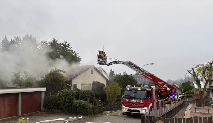 Die Feuerwehr rückt zu einem Einsatz in Niefern an.