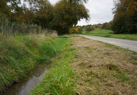 Aufwertung und Gewässerumbau des Schlupfgrabens zählen zu den Maßnahmen, für die das Fachbüro einen Steckbrief erstellt hat. Darin wird die Priorität aber als gering eingestuft.