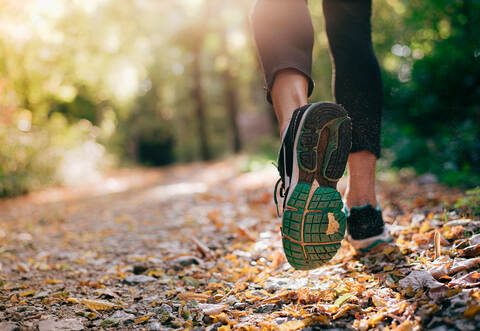 Für den Bewegungspfad, der den Bürgerinnen und Bürgern künftig zur sportlichen Betätigung im Freien dienen soll, ist im diesjährigen Haushalt ein Betrag von 20.000 Euro vorgesehen. (Symbolbild)