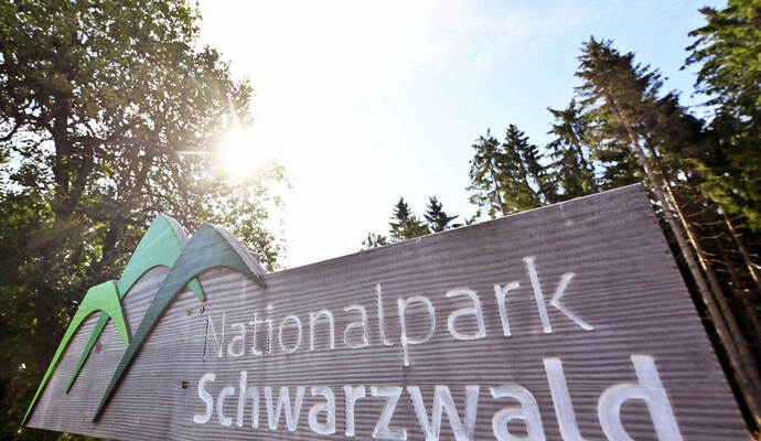 Nationalpark Schwarzwald