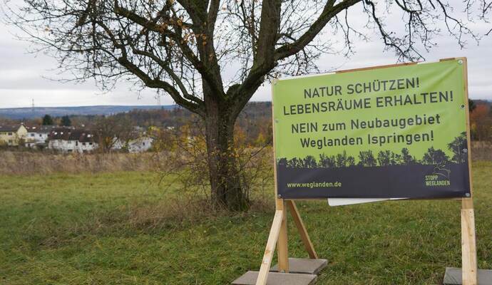Protest gegen das Neubaugebiet Weglanden vor dem Bürgerentscheid im Juni 2024. Nun werden Zahlen, Daten und Fakten als Entscheidungsgrundlage zusammengetragen. Als besonders brisant gilt ein Klima- und Kaltluftgutachten wegen des befürchteten negativen Einflusses geplanter Wohngebäude. Roller