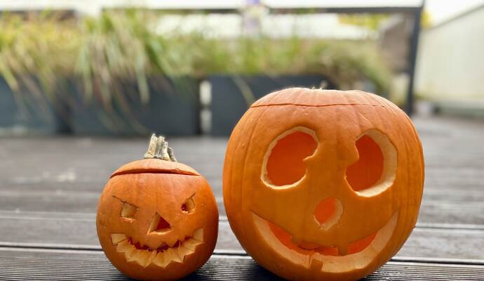 Sie haben auch einen Kürbis geschnitzt? Die PZ-news-Redaktion freut sich auf Ihre Fotos! Sie haben auch einen Kürbis geschnitzt? Die PZ-news-Redaktion freut sich auf Ihre Fotos!