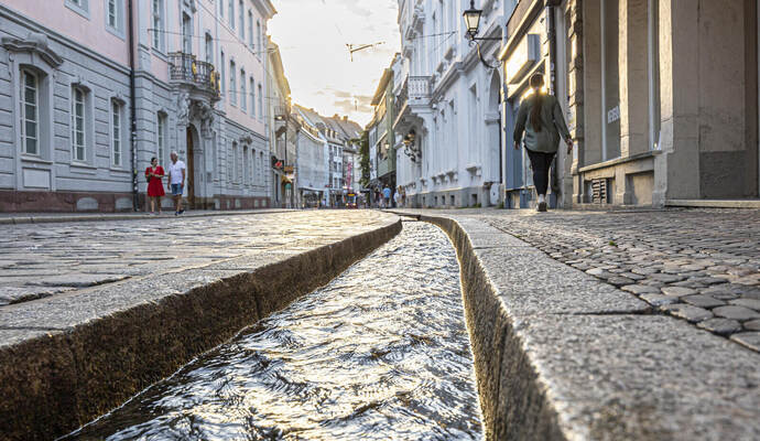 Schlängeln sich zur Landesgartenschau solche Bächle wie in Freiburg auch durch Pforzheims Innenstadt? Die Idee kommt in der Verw Freiburg im Frühjahr: Schlemmen und Schlendern bevor es warm wird