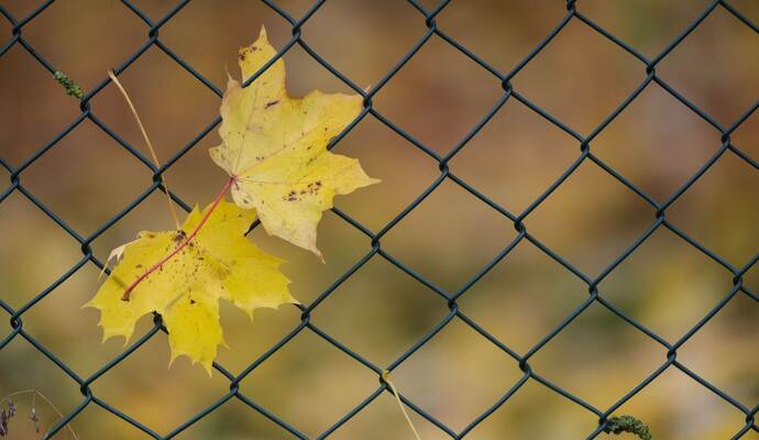 Wetter in Baden-Württemberg