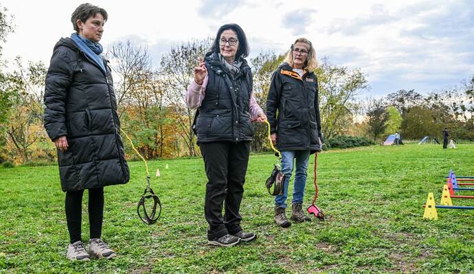 Hobby-Dogging - ein  neuer Trend