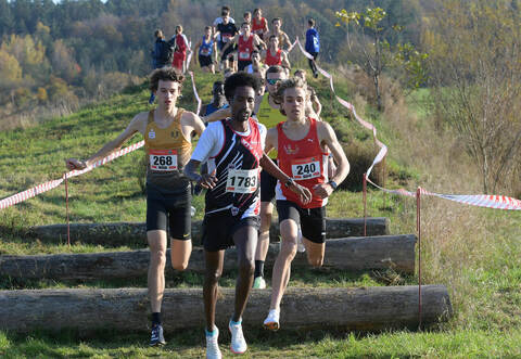 Beim Crosslauf in Huchenfeld können auch schon mal Stämme auf der Strecke liegen. Für Mamiyo Nuguse (Mitte) war das letztes Jahr kein Problem. Er wurde Dritter hinter Markus Görger (rechts) und Nick Jäger (links).
