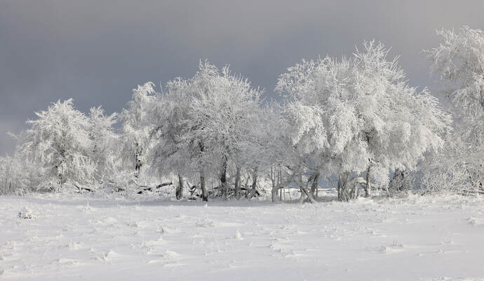 Winterwetter im Sauerland