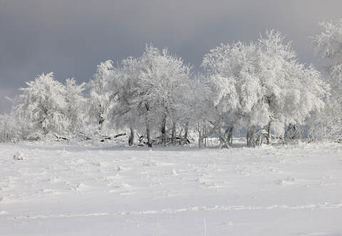 Winterwetter im Sauerland