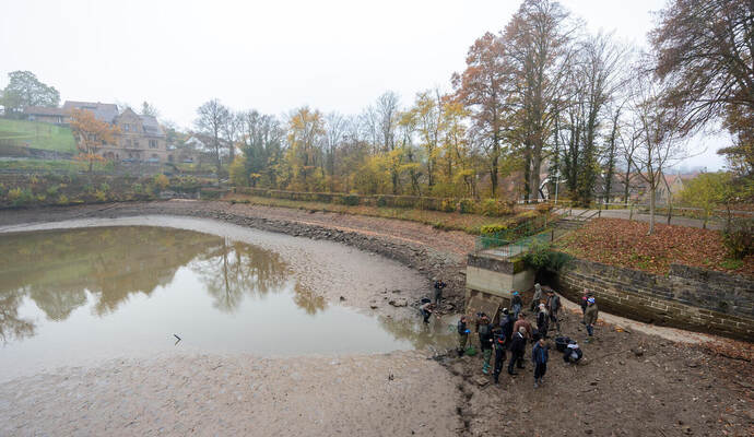 Tiefer See Maulbronn Abfischung