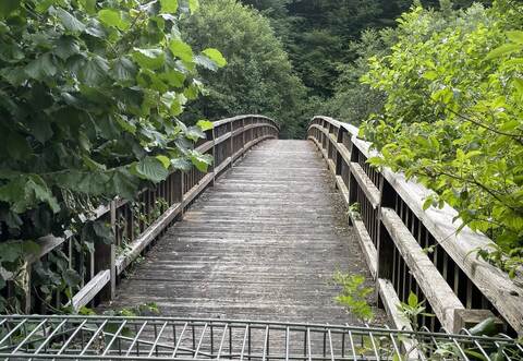 Die Signale aus dem Gemeinderat sind deutlich: Ein Ersatz-Neubau des Enzstegs ist vorerst vom Tisch. Zu teuer wäre die Maßnahme und zu knapp sind die finanziellen Mittel in den Kassen.