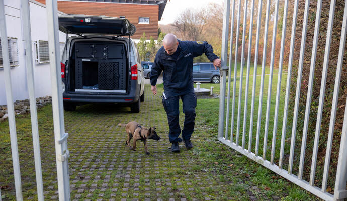 Reportage Polizeihund Cupra
