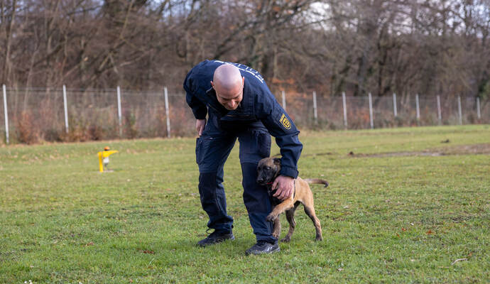 Reportage Polizeihund Cupra