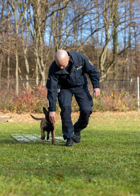 Reportage Polizeihund Cupra