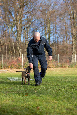 Reportage Polizeihund Cupra