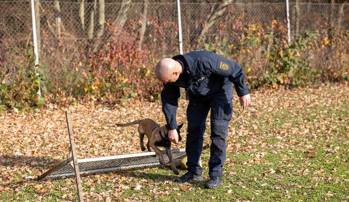 Reportage Polizeihund Cupra