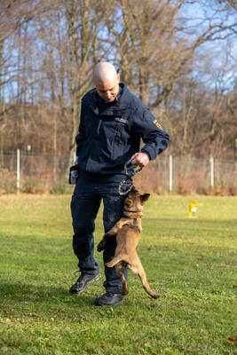 Reportage Polizeihund Cupra