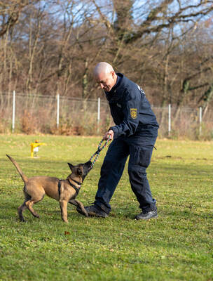 Reportage Polizeihund Cupra