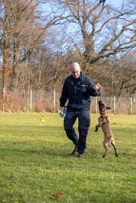 Reportage Polizeihund Cupra