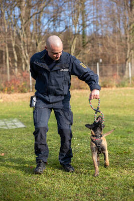 Reportage Polizeihund Cupra