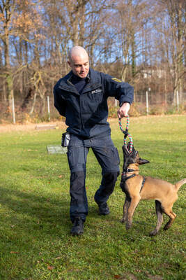 Reportage Polizeihund Cupra