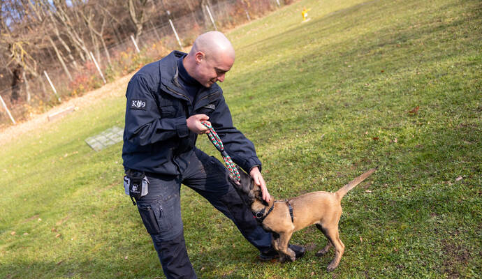 Reportage Polizeihund Cupra