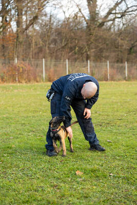 Reportage Polizeihund Cupra