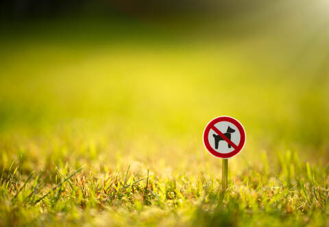 Die Friedhofssatzung der Gemeinde verbietet es, Tiere in Friedhöfe mitzunehmen, ausgenommen sind Blindenhunde. Eine Einwohnerin machte sich nun in einem vierseitigen Schreiben dafür stark, Hunde zu erlauben.