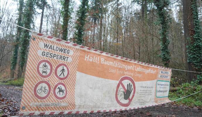 Banner weisen auf Baumfällarbeitenim Wald hin.