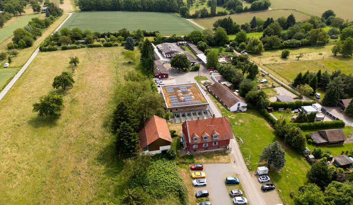 Tierheim Pforzheim Mag Serie