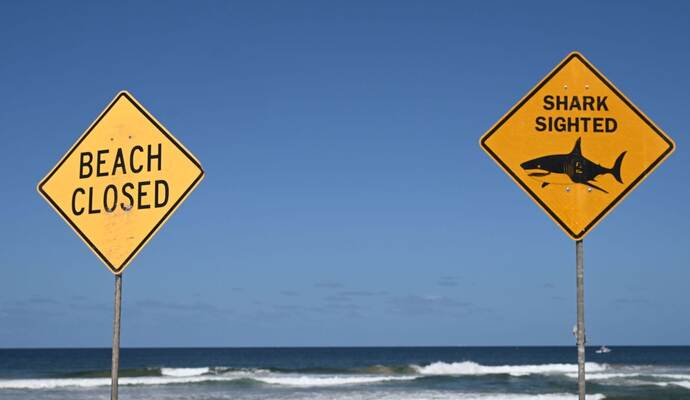 Tödlicher Hai-Angriff vor australischer Ostküste